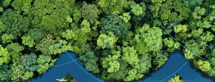 Iguá comemora o Dia Mundial do Meio Ambiente Iguá comemora o Dia Mundial do Meio Ambiente