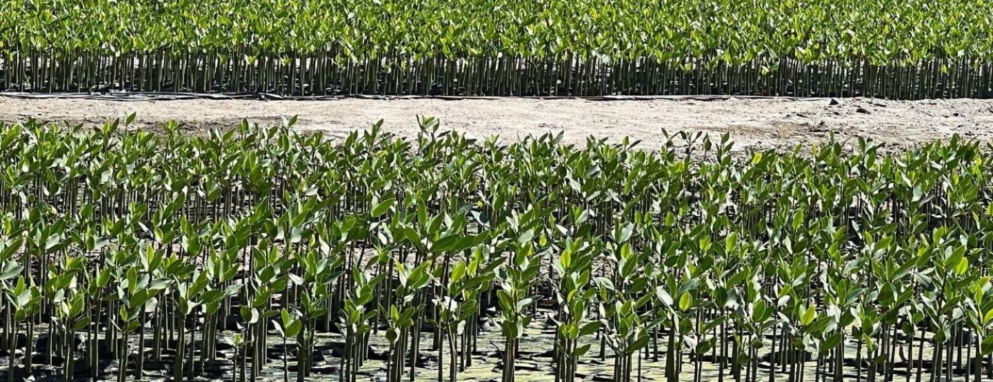 Saneamento como aliado no combate às mudanças climáticas Saneamento como aliado no combate às mudanças climáticas