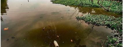 Limpeza das lagoas de Jacarepaguá e da Barra começa já no mês que vem Limpeza das lagoas de Jacarepaguá e da Barra começa já no mês que vem
