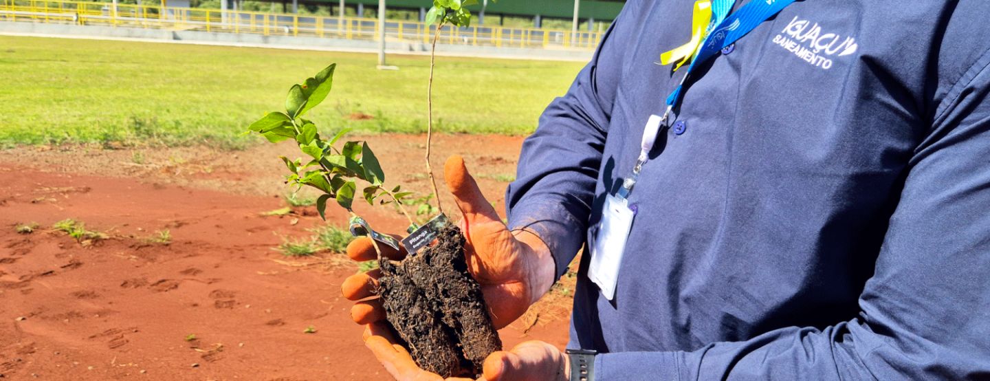 Iguaçu Saneamento celebra cem dias de operações com plantio de árvores Iguaçu Saneamento celebra cem dias de operações com plantio de árvores