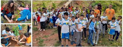 Sanessol participa de ação socioambiental em comemoração ao Dia da Árvore Sanessol participa de ação socioambiental em comemoração ao Dia da Árvore