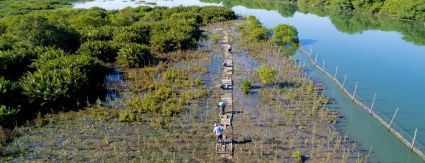 No Dia da Árvore, Iguá celebra conservação de nascentes e matas ciliares com ações de educação socioambiental