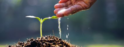 Águas Andradina comemora Dia Mundial do Meio Ambiente com plantio de mudas e mobilização sobre sustentabilidade Águas Andradina comemora Dia Mundial do Meio Ambiente com plantio de mudas e mobilização sobre sustentabilidade