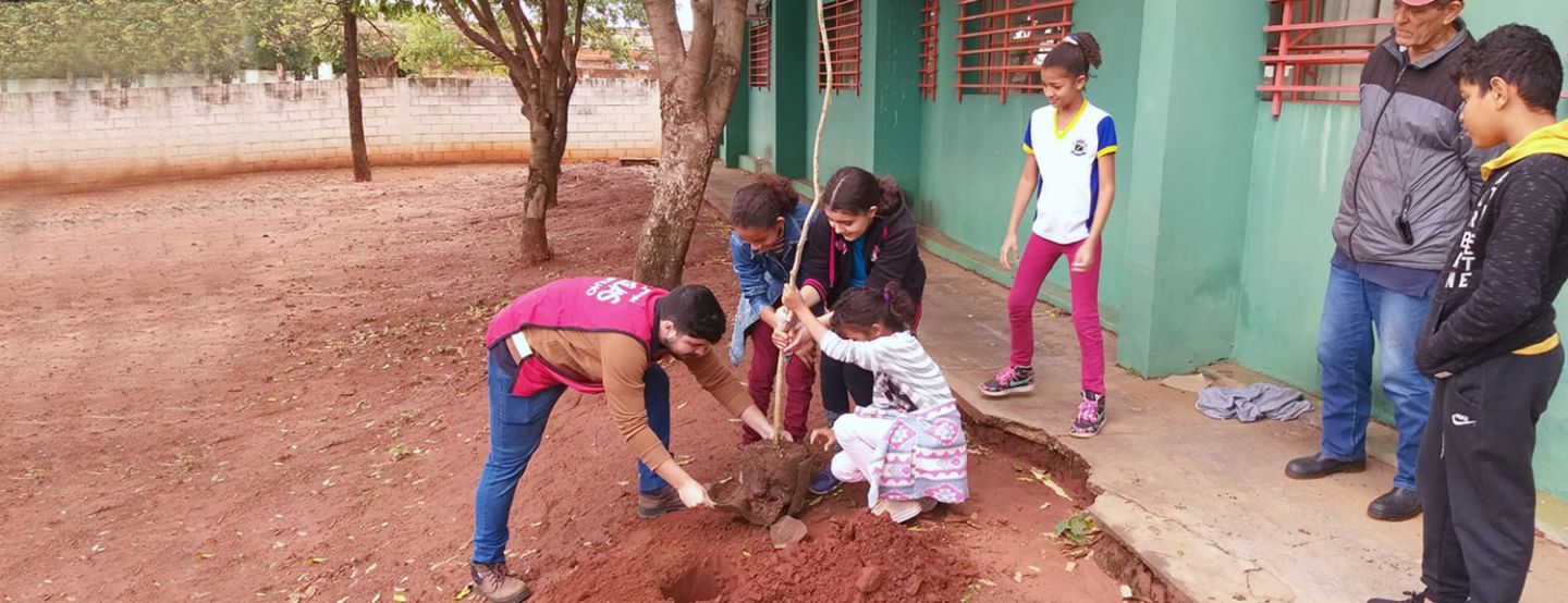 Águas Andradina e Águas Castilho participam de plantios em homenagem ao Dia da Árvore