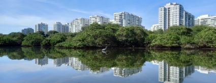 Coletores de tempo seco serão instalados em áreas próximas do Complexo Lagunar