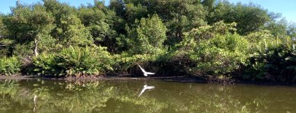 Programa de educação socioambiental também fará parte do escopo de trabalho da concessão