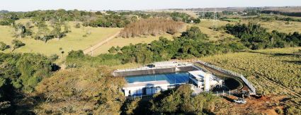 Sanessol comemora o Dia Mundial do Meio Ambiente com plantio de mudas e mobilização sobre sustentabilidade