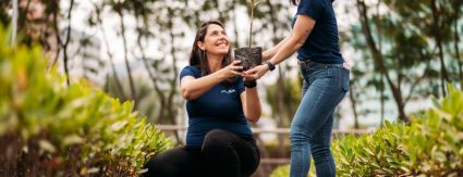 Dia da Árvore: Iguá atua pela preservação dos biomas brasileiros Dia da Árvore: Iguá atua pela preservação dos biomas brasileiros