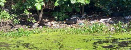 INEA concede à Iguá parte do licenciamento para a remoção de resíduos na Lagoa do Camorim