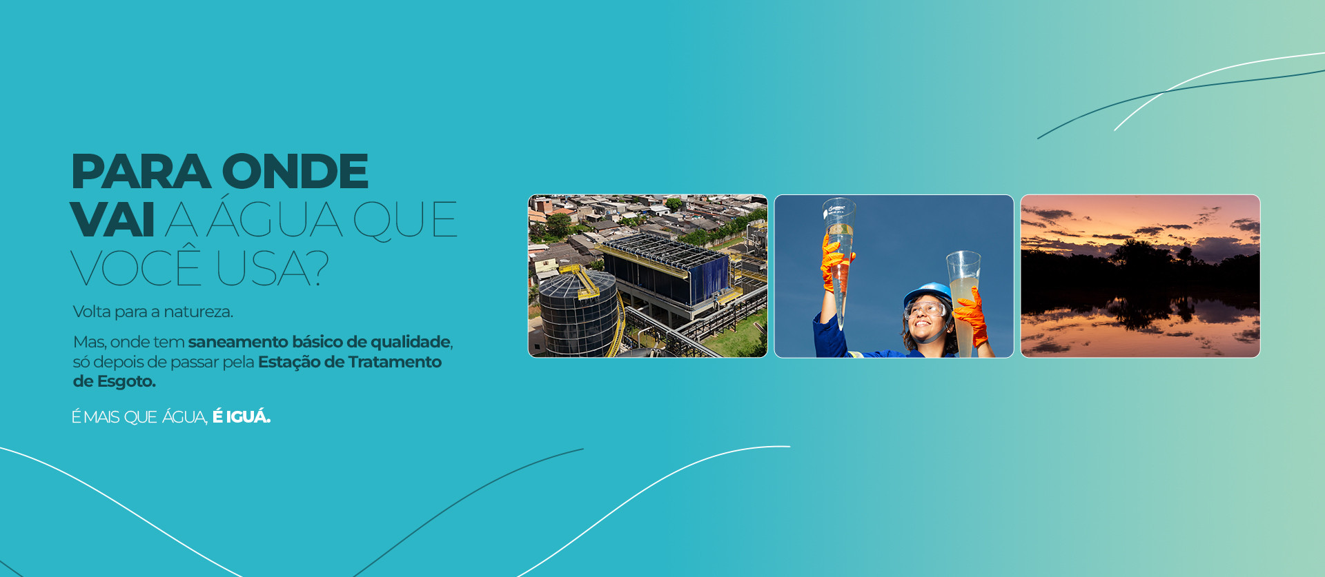Dia mundial do meio ambiente 2025