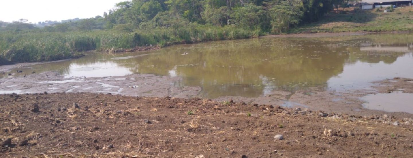 Mirassol registra aumento de 27,5 milhões de litros de água consumidos pelos moradores no mês de setembro em relação ao mesmo período do ano passado Mirassol registra aumento de 27,5 milhões de litros de água consumidos pelos moradores no mês de setembro em relação ao mesmo período do ano passado