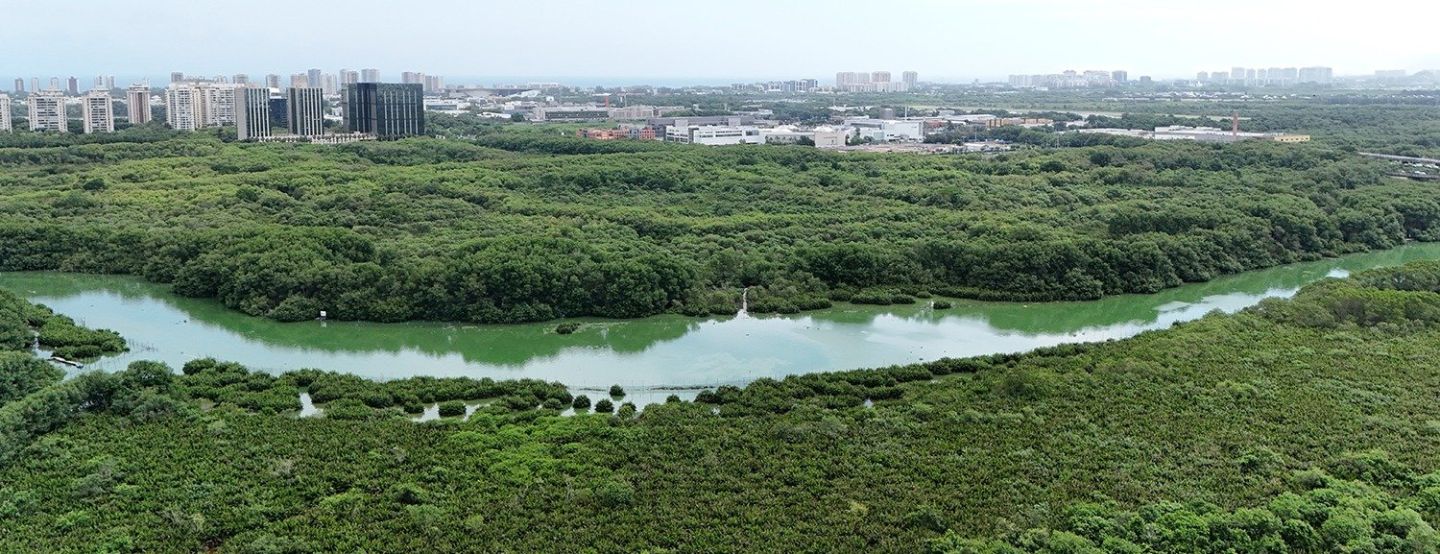 Iguá realiza 1ª Semana da Sustentabilidade