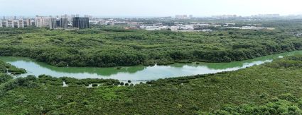 Iguá realiza 1ª Semana da Sustentabilidade