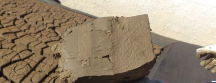 Agreste Saneamento amplia destinação sustentável do lodo de ETA para fabricação de tijolos