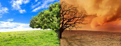 Saneamento com responsabilidade ambiental é saída para mitigar desastres